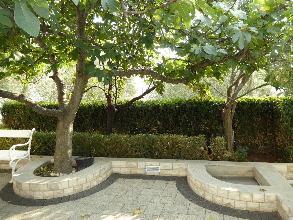 וודיצה Apartments Bojanic מראה חיצוני תמונה