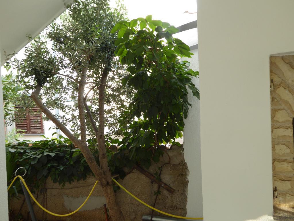 וודיצה Apartments Bojanic מראה חיצוני תמונה