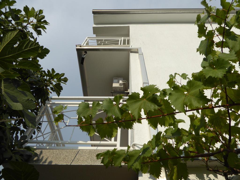 וודיצה Apartments Bojanic מראה חיצוני תמונה