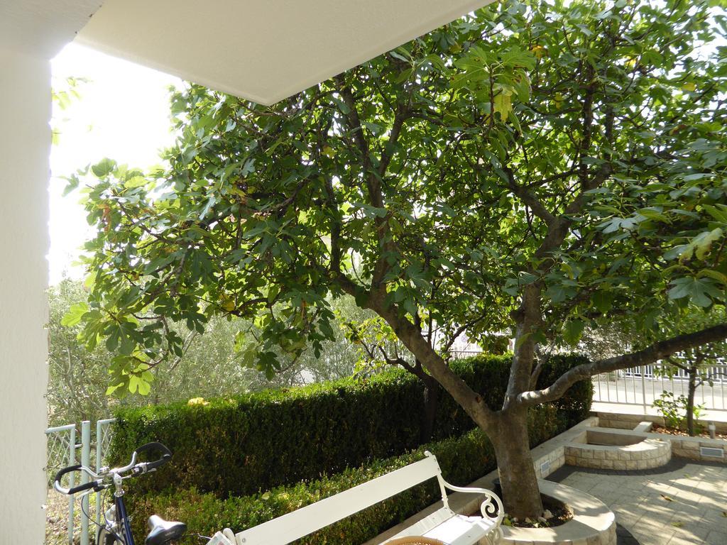 וודיצה Apartments Bojanic מראה חיצוני תמונה