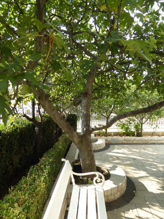 וודיצה Apartments Bojanic מראה חיצוני תמונה