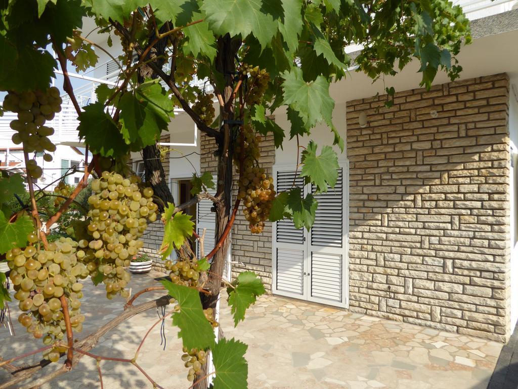 וודיצה Apartments Bojanic מראה חיצוני תמונה